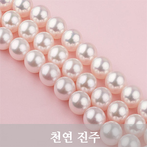 서브배너1-2